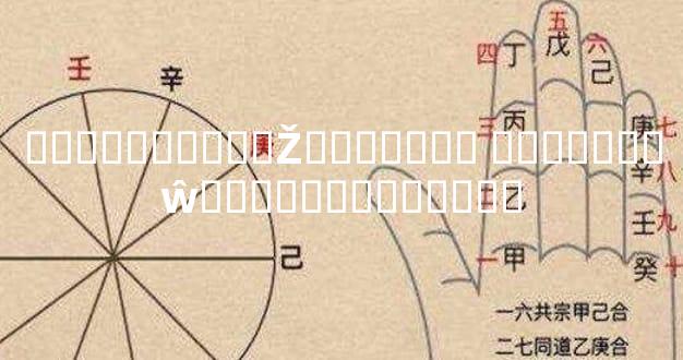 ���볤������Ž������� �������ŵ���ֵ���Ը�����